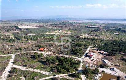 ÇANDARLI ELELE KOOPERATİFİNDE SATILIK ARSA