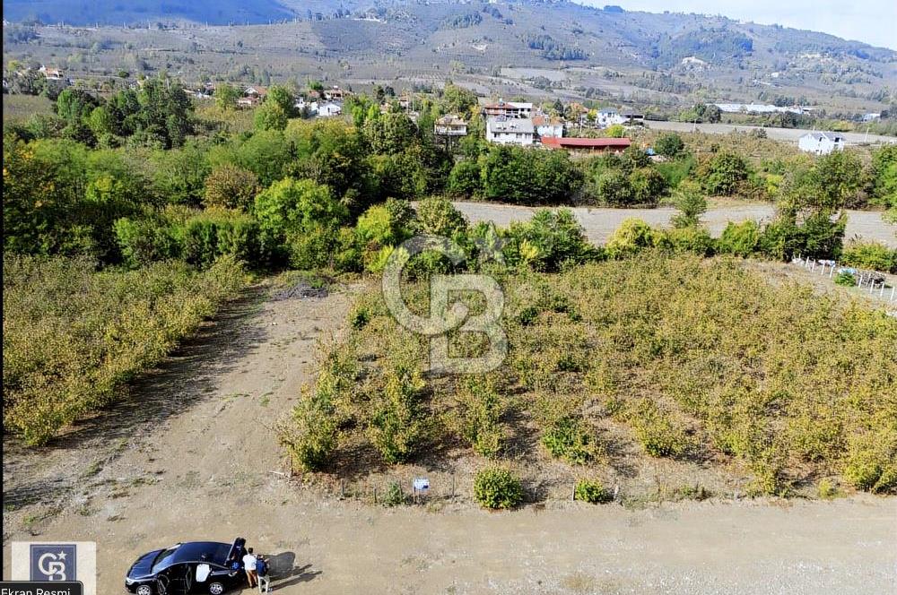CB TOWER'DAN DÜZCE CUMAYERİNDE SATILIK 518 M2 KÖŞE PARSEL ARSA.