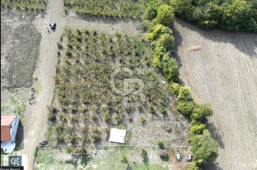 CB TOWER'DAN DÜZCE CUMAYERİNDE SATILIK 518 M2 KÖŞE PARSEL ARSA.