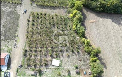 CB TOWER'DAN DÜZCE CUMAYERİNDE SATILIK 518 M2 KÖŞE PARSEL ARSA.