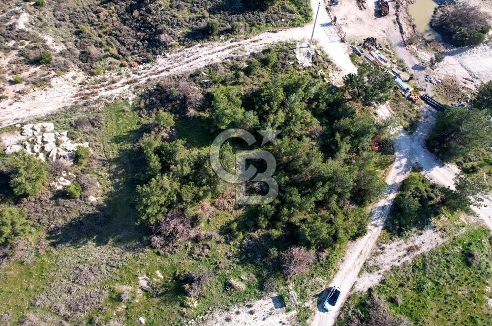 ÇANDARLI ELELE KOOPERATİFİNDE SATILIK ARSA