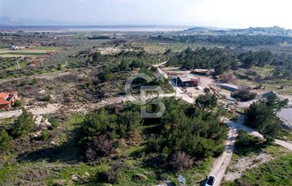 ÇANDARLI ELELE KOOPERATİFİNDE SATILIK ARSA