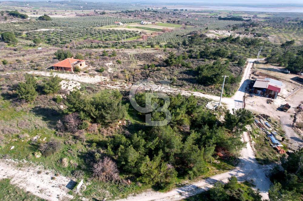 ÇANDARLI ELELE KOOPERATİFİNDE SATILIK ARSA