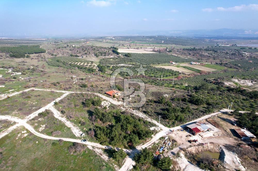 ÇANDARLI ELELE KOOPERATİFİNDE SATILIK ARSA
