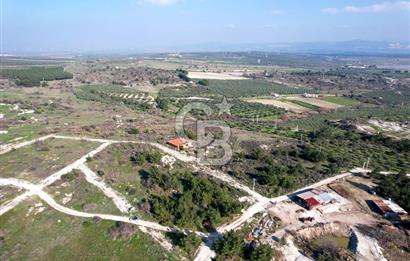 ÇANDARLI ELELE KOOPERATİFİNDE SATILIK ARSA
