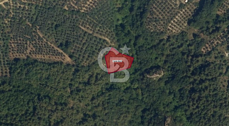 İZNİK DERBENT'TE DOĞA İÇERİSİNDE YATIRIMLIK ZEYTİNLİK