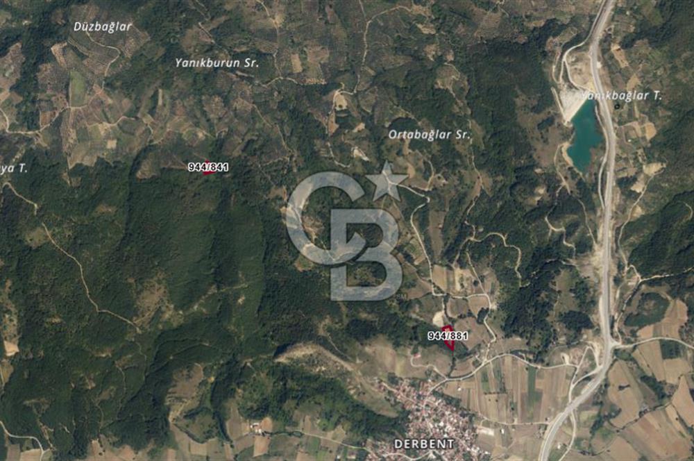 İZNİK DERBENT'TE DOĞA İÇERİSİNDE YATIRIMLIK ZEYTİNLİK