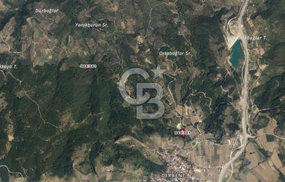 İZNİK DERBENT'TE DOĞA İÇERİSİNDE YATIRIMLIK ZEYTİNLİK
