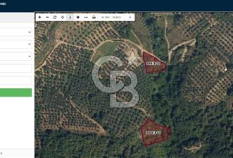 İZNİK DERBENT'TE 47M YOLA CEPHELİ YATIRIMLIK SATILIK ZEYTİNLİK