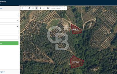 İZNİK DERBENT'TE 47M YOLA CEPHELİ YATIRIMLIK SATILIK ZEYTİNLİK