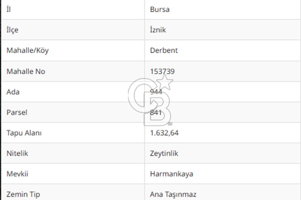 İZNİK DERBENT'TE DOĞA İÇERİSİNDE YATIRIMLIK ZEYTİNLİK