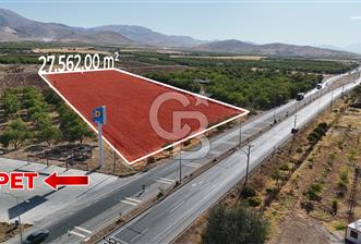 COLDWELL BANKER SAFİR'den KİRALIK ANA YOLA SIFIR CEPHELİ TARLA