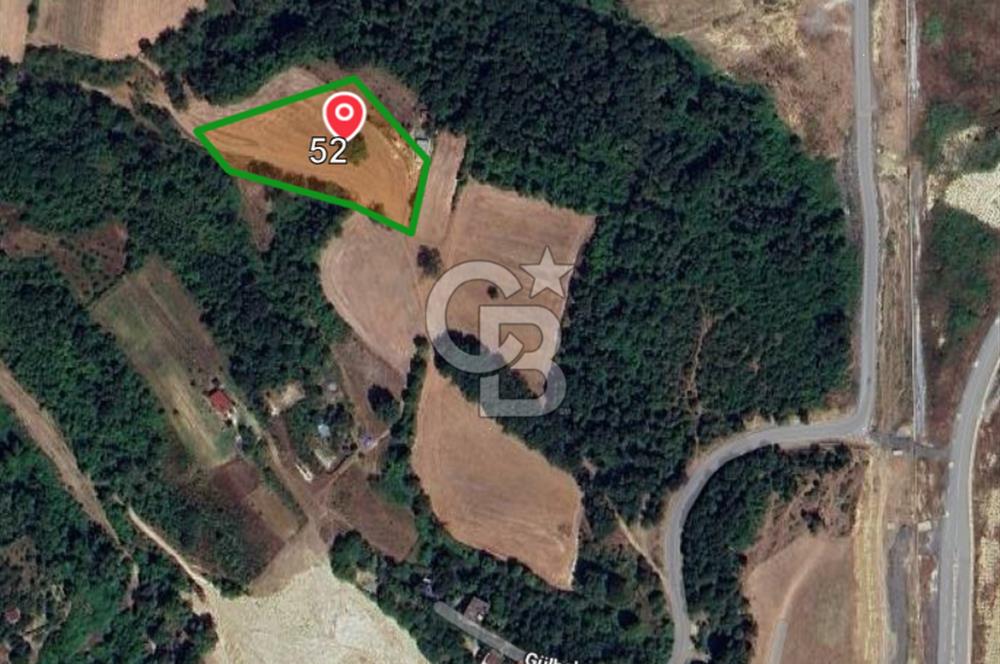 Satılık Tarla 5.791 m2, Arnavutköy Tayakadın'da Yatırım Fırsatı!