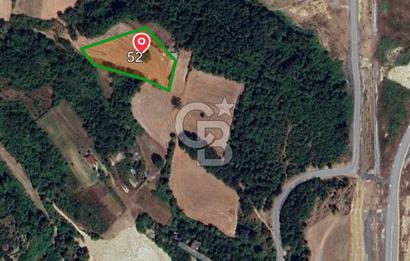 Satılık Tarla 5.791 m2, Arnavutköy Tayakadın'da Yatırım Fırsatı!