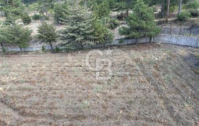 SALDA GÖLÜ MANZARALI 3 KATLI 3 DAİRELİK SATILIK BİNA