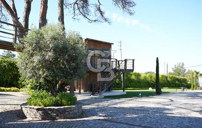 İZMİR Menderes Yeniköy 10 Dönüm Arsa içinde Satılık Villa  Coldwell Batı 06.40