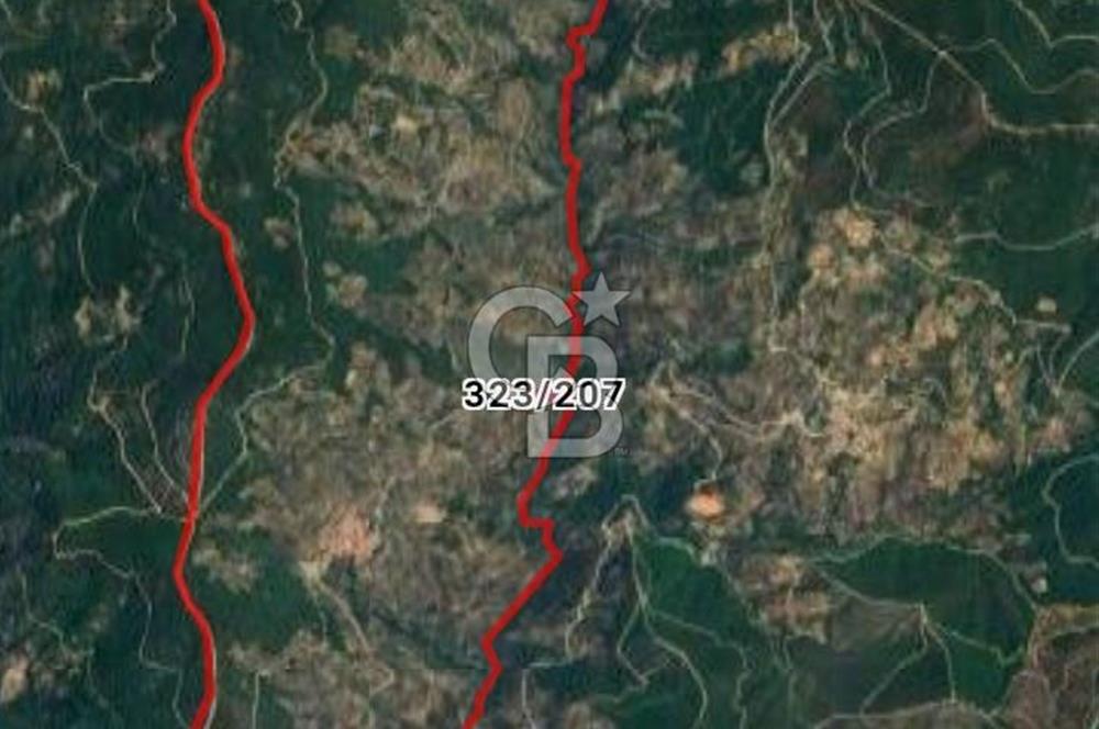 Bayındır Zeytinlik 1495 m2