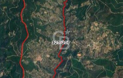 Bayındır Zeytinlik 1495 m2