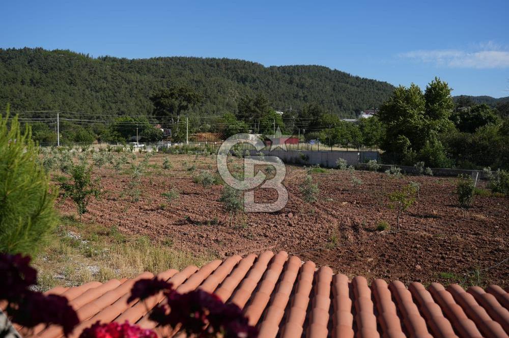 İZMİR Menderes Yeniköy 10 Dönüm Arsa içinde Satılık Villa  Coldwell Batı 06.40