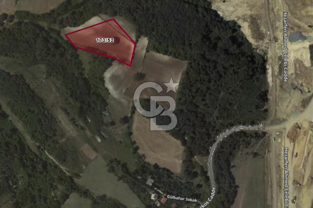 Satılık Tarla 5.791 m2, Arnavutköy Tayakadın'da Yatırım Fırsatı!