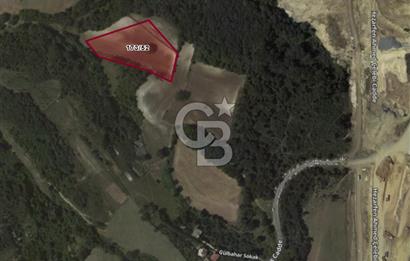 Satılık Tarla 5.791 m2, Arnavutköy Tayakadın'da Yatırım Fırsatı!