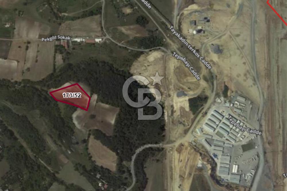 Satılık Tarla 5.791 m2, Arnavutköy Tayakadın'da Yatırım Fırsatı!