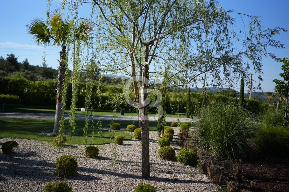 İZMİR Menderes Yeniköy 10 Dönüm Arsa içinde Satılık Villa  Coldwell Batı 06.40