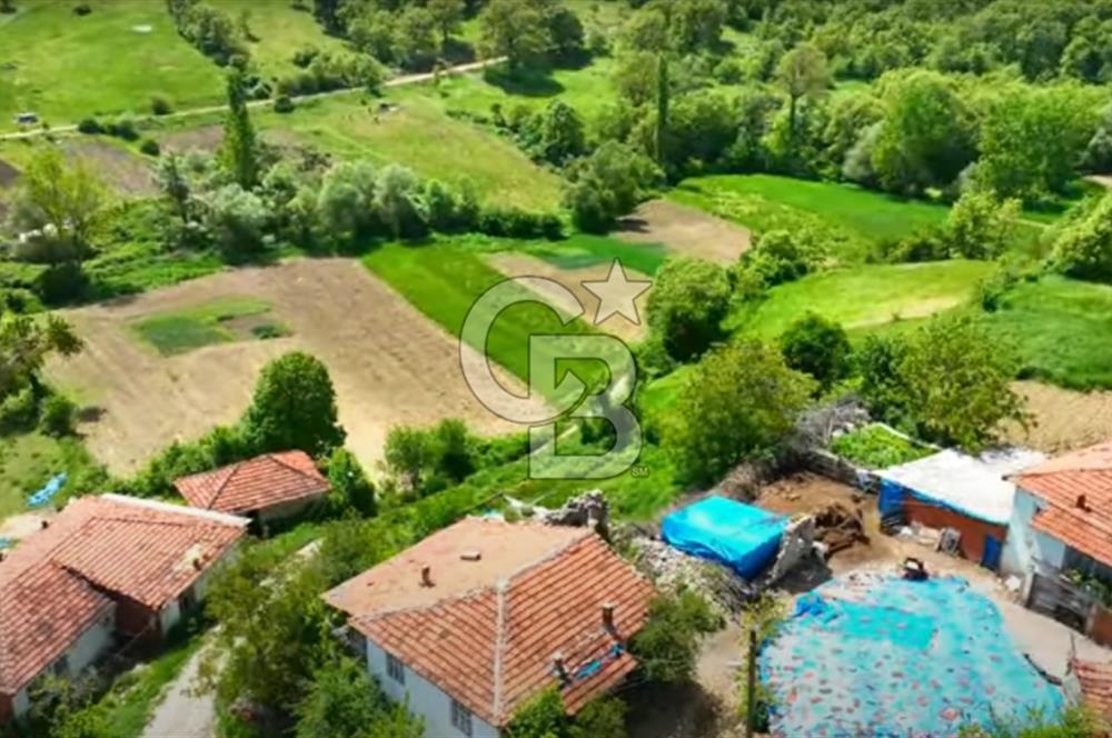BALIKESİR SINDIRGI KINIK MAHALLESİ 16,089M2 YOLU OLAN TARLA