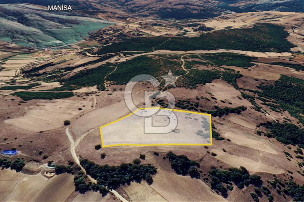 BALIKESİR SINDIRGI KINIK MAHALLESİ 16,089M2 YOLU OLAN TARLA