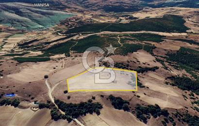 BALIKESİR SINDIRGI KINIK MAHALLESİ 16,089M2 YOLU OLAN TARLA