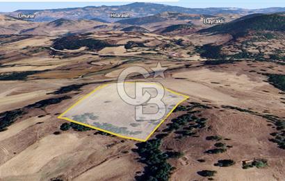 BALIKESİR SINDIRGI KINIK MAHALLESİ 16,089M2 YOLU OLAN TARLA