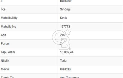 BALIKESİR SINDIRGI KINIK MAHALLESİ 16,089M2 YOLU OLAN TARLA