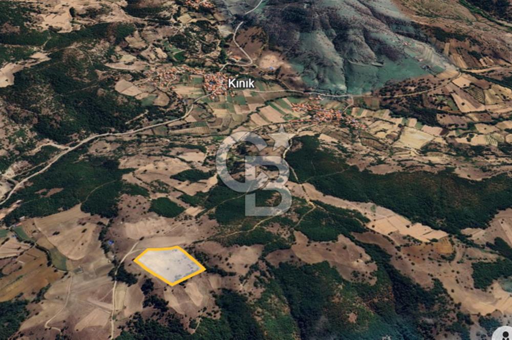 BALIKESİR SINDIRGI KINIK MAHALLESİ 16,089M2 YOLU OLAN TARLA