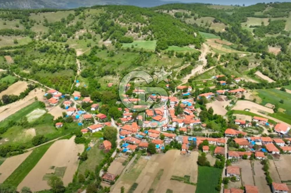 BALIKESİR SINDIRGI KINIK MAHALLESİ 16,089M2 YOLU OLAN TARLA