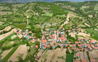 BALIKESİR SINDIRGI KINIK MAHALLESİ 16,089M2 YOLU OLAN TARLA
