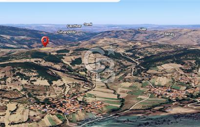 BALIKESİR SINDIRGI KINIK MAHALLESİ 16,089M2 YOLU OLAN TARLA