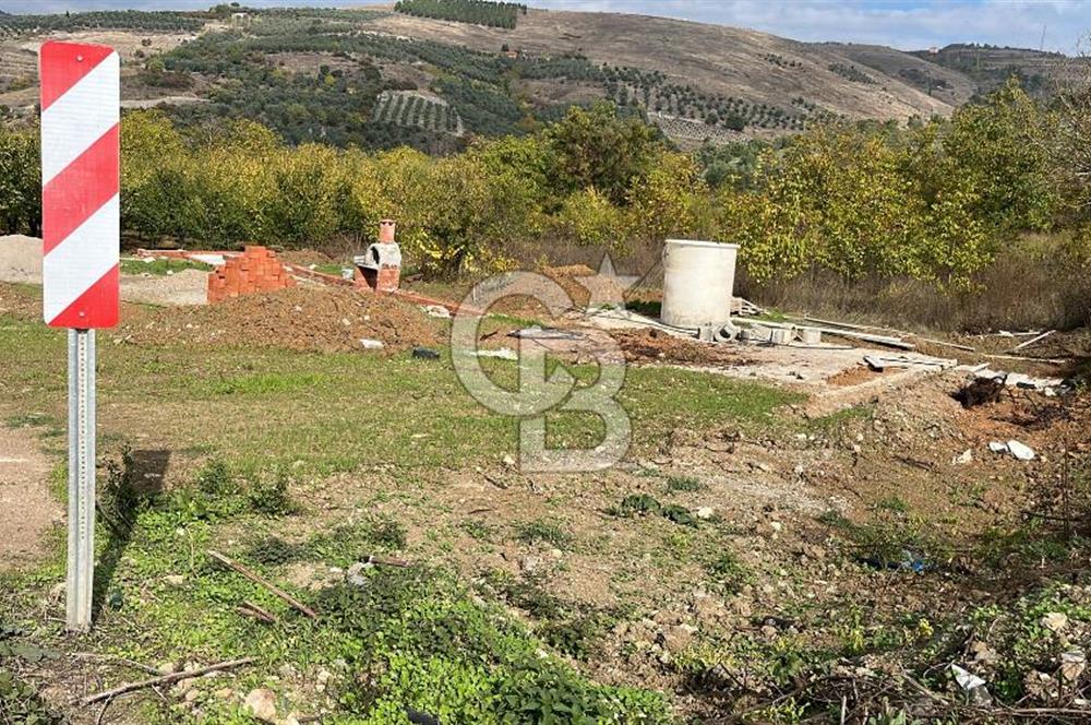 BURSA İZNİK TACİR'DE 33 M YOLA CEPHELİ İMARA YAKIN YAPILAŞMAYA UYGUN BAĞ