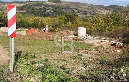 BURSA İZNİK TACİR'DE 33 M YOLA CEPHELİ İMARA YAKIN YAPILAŞMAYA UYGUN BAĞ