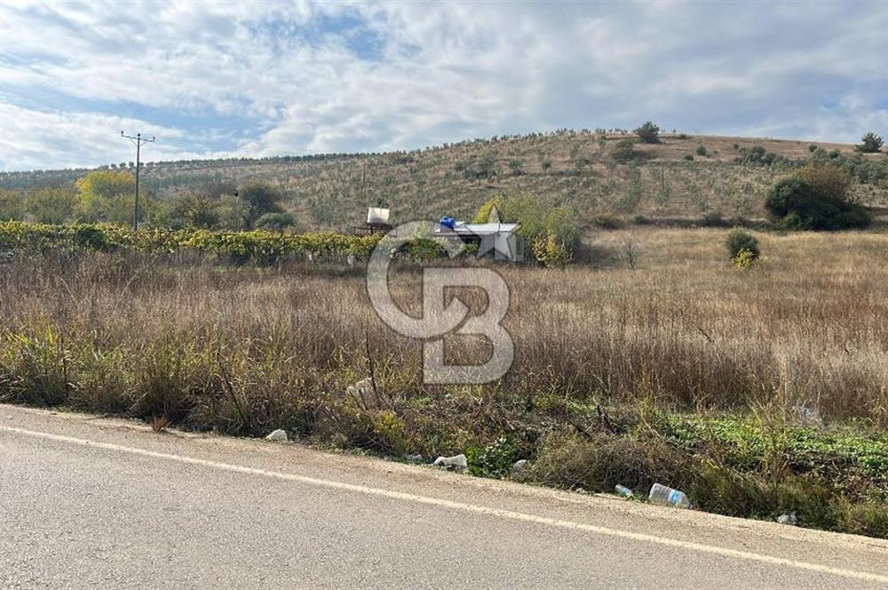 BURSA İZNİK TACİR'DE 33 M YOLA CEPHELİ İMARA YAKIN YAPILAŞMAYA UYGUN BAĞ