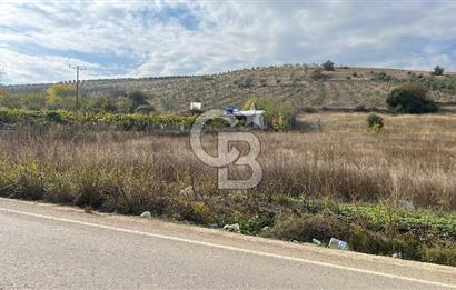 BURSA İZNİK TACİR'DE 33 M YOLA CEPHELİ İMARA YAKIN YAPILAŞMAYA UYGUN BAĞ