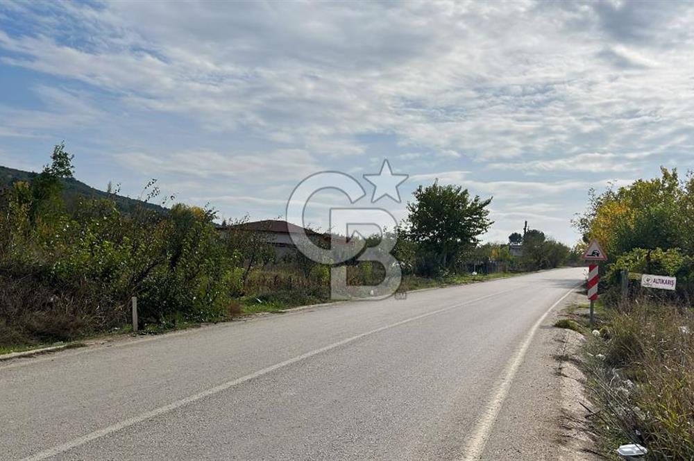 BURSA İZNİK TACİR'DE 33 M YOLA CEPHELİ İMARA YAKIN YAPILAŞMAYA UYGUN BAĞ