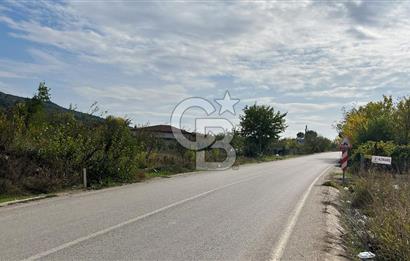 BURSA İZNİK TACİR'DE 33 M YOLA CEPHELİ İMARA YAKIN YAPILAŞMAYA UYGUN BAĞ