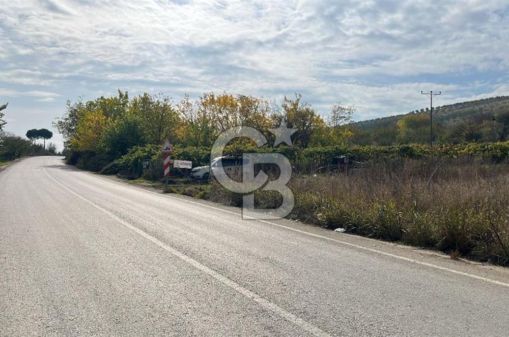 BURSA İZNİK TACİR'DE 33 M YOLA CEPHELİ İMARA YAKIN YAPILAŞMAYA UYGUN BAĞ