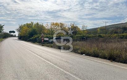BURSA İZNİK TACİR'DE 33 M YOLA CEPHELİ İMARA YAKIN YAPILAŞMAYA UYGUN BAĞ