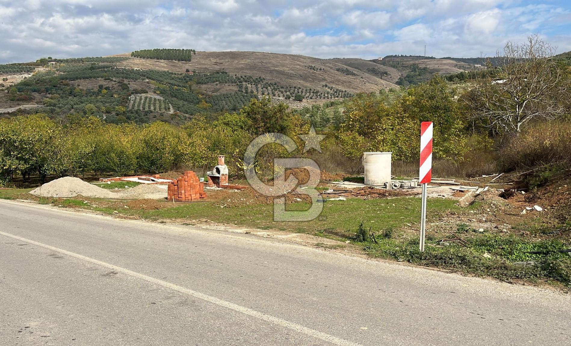 BURSA İZNİK TACİR'DE 33 M YOLA CEPHELİ İMARA YAKIN YAPILAŞMAYA UYGUN BAĞ