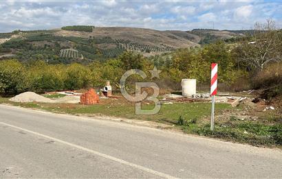 BURSA İZNİK TACİR'DE 33 M YOLA CEPHELİ İMARA YAKIN YAPILAŞMAYA UYGUN BAĞ
