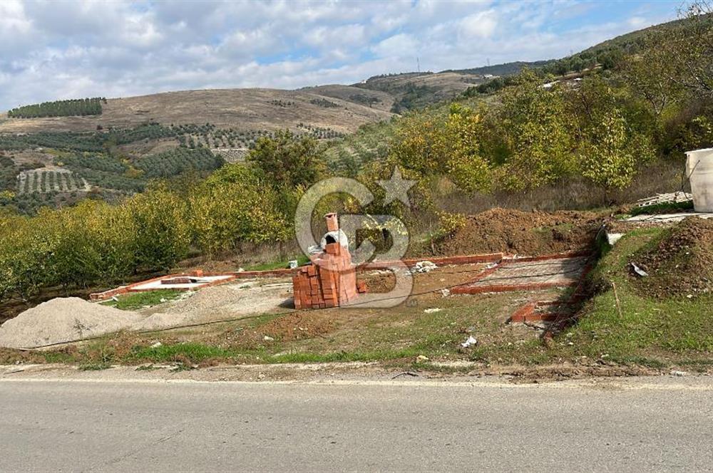 BURSA İZNİK TACİR'DE 33 M YOLA CEPHELİ İMARA YAKIN YAPILAŞMAYA UYGUN BAĞ