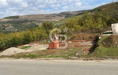 BURSA İZNİK TACİR'DE 33 M YOLA CEPHELİ İMARA YAKIN YAPILAŞMAYA UYGUN BAĞ