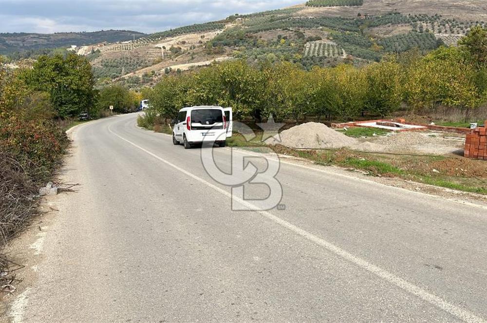 BURSA İZNİK TACİR'DE 33 M YOLA CEPHELİ İMARA YAKIN YAPILAŞMAYA UYGUN BAĞ