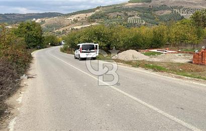 BURSA İZNİK TACİR'DE 33 M YOLA CEPHELİ İMARA YAKIN YAPILAŞMAYA UYGUN BAĞ